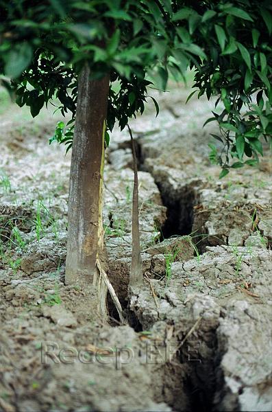 Ceyhan-Earthquake-1998.jpg