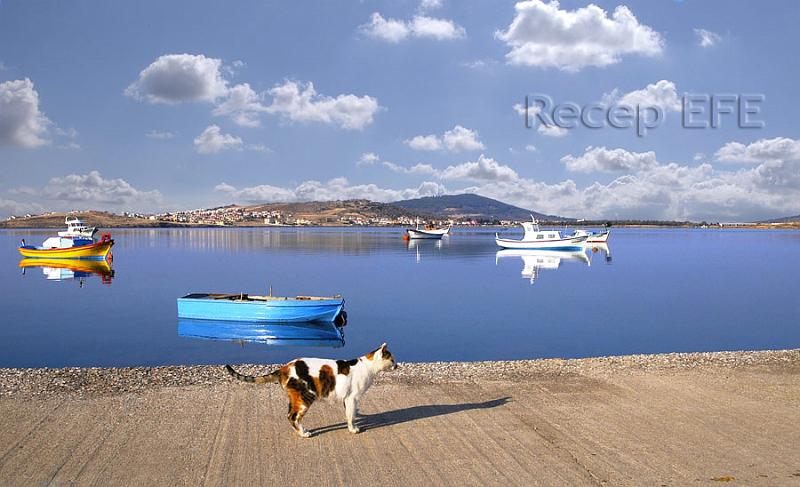 Sunday-Morning-in-Ayvalik.jpg